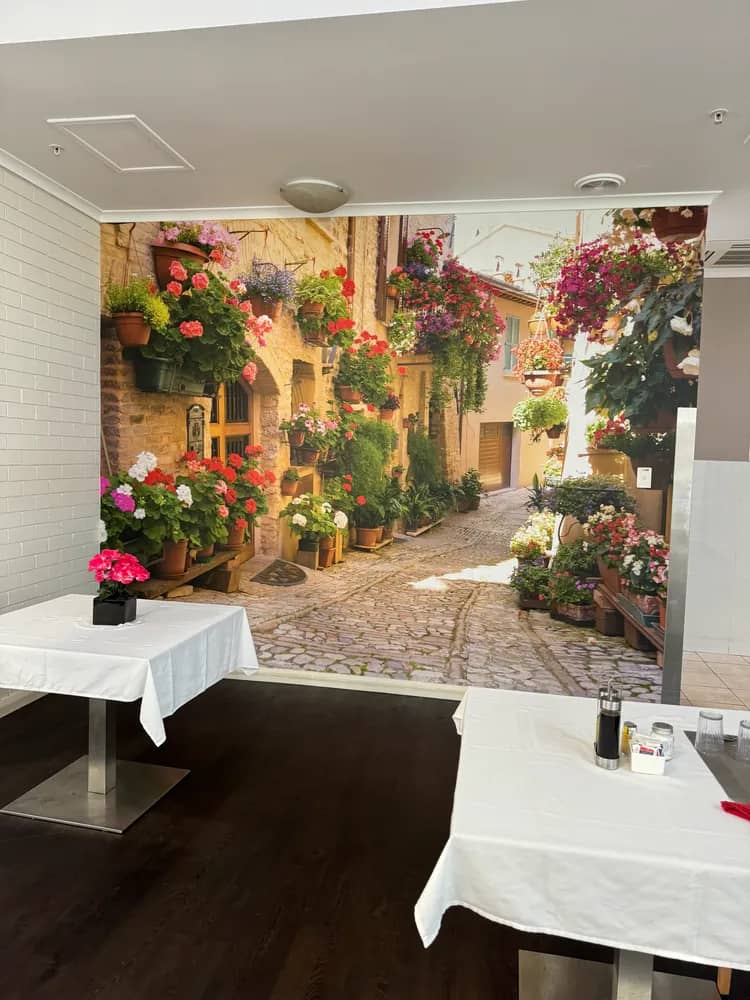 Engaging wallpaper for aged care facilities and common areas