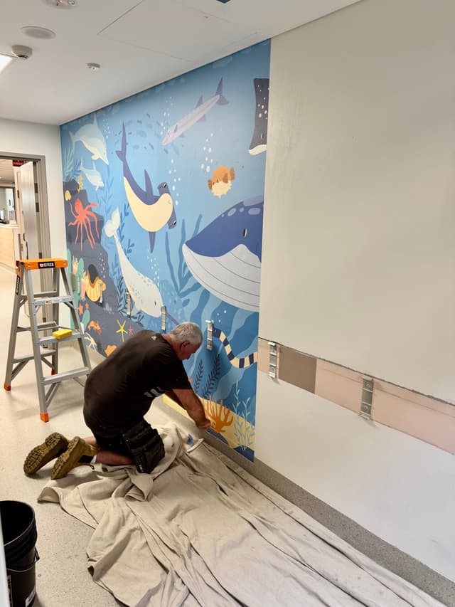 Professional Wallpaper Application