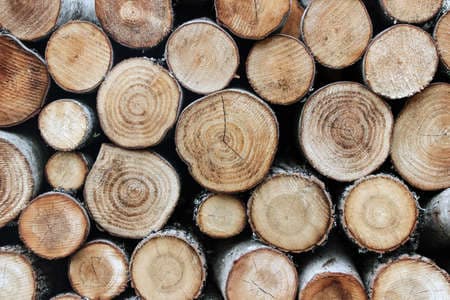 A pile of birch firewood