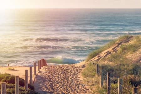 Entrance path to the beach with sunshine. Summer holiday nature landscape