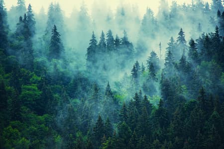 Misty mountain landscape